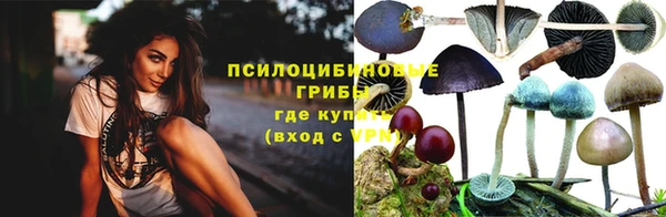 молекула духа Нея