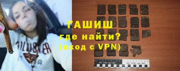 гидра Надым