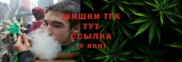 прущие грибы Нефтекумск