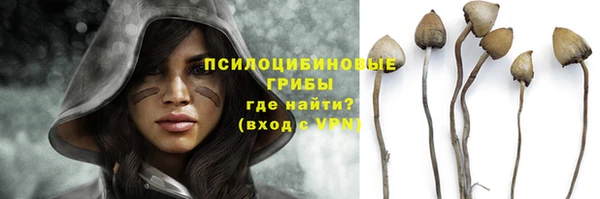 альфа пвп Новодвинск
