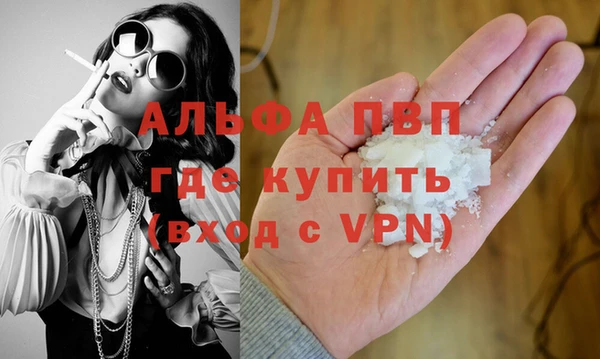 прущие грибы Нефтекумск
