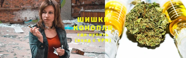 прущие грибы Нефтекумск
