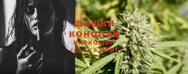 прущие грибы Нефтекумск