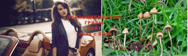 молекула духа Нея