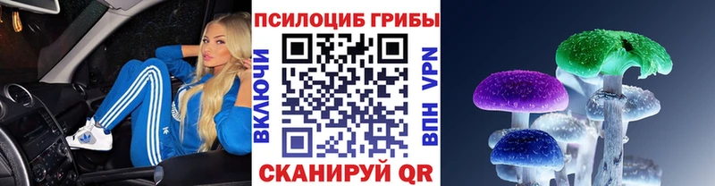 Галлюциногенные грибы GOLDEN TEACHER  Пошехонье 
