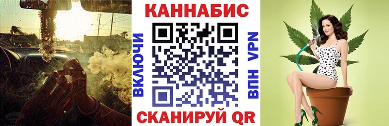 Бошки Шишки Amnesia Пошехонье