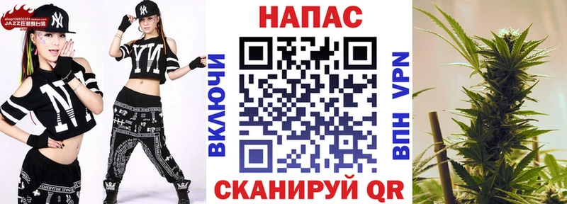 цены Пошехонье Каннабис ГИДРОПОН